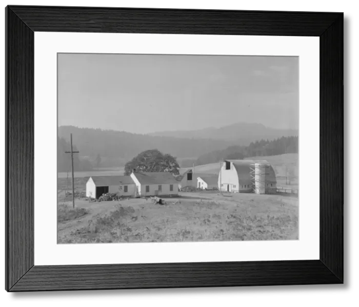 Framed Print : Unit no. 32 of Yamhill farms, Oregon, 1939. Creator: Dorothea Lange Framed Print : Unit no. 32 of Yamhill farms, Oregon, 1939. Creator: Dorothea Lange