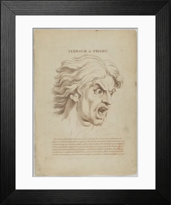Framed Print : Terror or Fright (from Heads Representing the Various Passions of the Soul; as they are E... 1765. Creator: Anon) Framed Print : Terror or Fright (from Heads Representing the Various Passions of the Soul; as they are E... 1765. Creator: Anon)