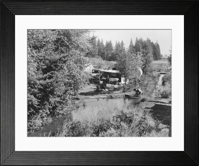 Framed Print : One of a dozen or more small bean pickers camps in immediate... near West Stayton, Oregon, 1939. Creator: Dorothea Lange Framed Print : One of a dozen or more small bean pickers camps in immediate... near West Stayton, Oregon, 1939. Creator: Dorothea Lange