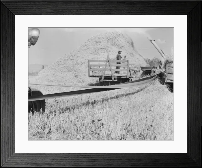 Framed Print : Threshing, midsummer noon, five miles west of Malin, Klamath County, Oregon, 1939. Creator: Dorothea Lange Framed Print : Threshing, midsummer noon, five miles west of Malin, Klamath County, Oregon, 1939. Creator: Dorothea Lange