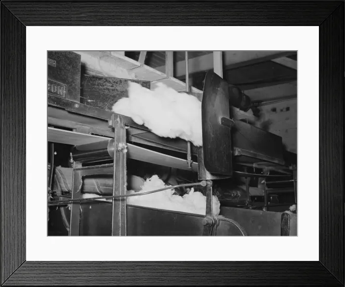 Framed Print : Cotton from the bale is transported by belt to... making cotton bats, Laurel, Mississippi, 1939. Creator: Dorothea Lange Framed Print : Cotton from the bale is transported by belt to... making cotton bats, Laurel, Mississippi, 1939. Creator: Dorothea Lange