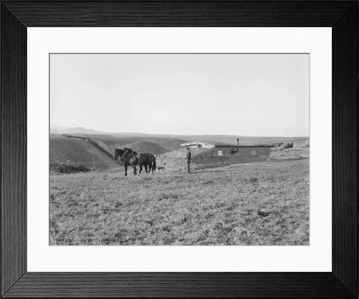 Framed Print : The Daugherty home, Warm Springs district, Malheur County, Oregon, 1939. Creator: Dorothea Lange Framed Print : The Daugherty home, Warm Springs district, Malheur County, Oregon, 1939. Creator: Dorothea Lange