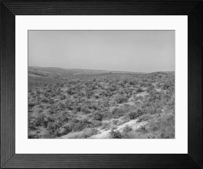 Framed Print : Landscape showing raw land, Nyssa Heights, Malheur County, Oregon, 1939. Creator: Dorothea Lange Framed Print : Landscape showing raw land, Nyssa Heights, Malheur County, Oregon, 1939. Creator: Dorothea Lange