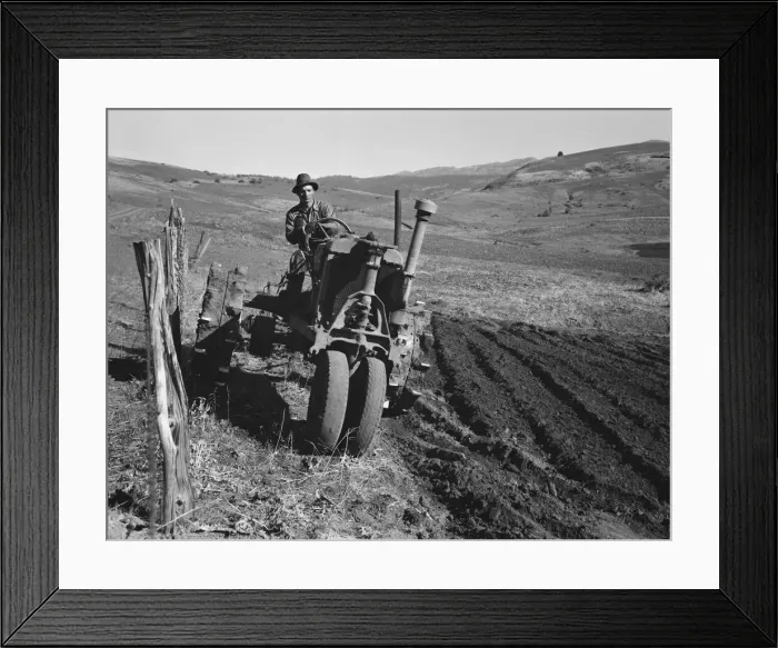Framed Print : Young farmer plowing while other co-op members... Ola self-help sawmill co-op, Gem County, 1939. Creator: Dorothea Lange Framed Print : Young farmer plowing while other co-op members... Ola self-help sawmill co-op, Gem County, 1939. Creator: Dorothea Lange