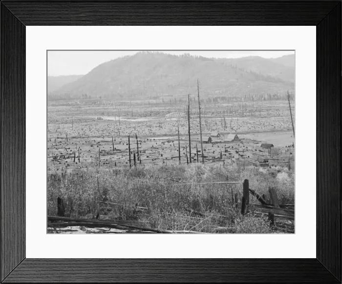 Framed Print : Looking down the Priest River Valley... Bonner County, Idaho, 1939. Creator: Dorothea Lange Framed Print : Looking down the Priest River Valley... Bonner County, Idaho, 1939. Creator: Dorothea Lange