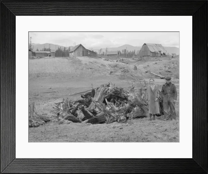 Framed Print : Possibly: The Unruf family, stump pile, and their partly developed farm, Boundary County, Idaho, 1939 Creator: Dorothea Lange Framed Print : Possibly: The Unruf family, stump pile, and their partly developed farm, Boundary County, Idaho, 1939 Creator: Dorothea Lange