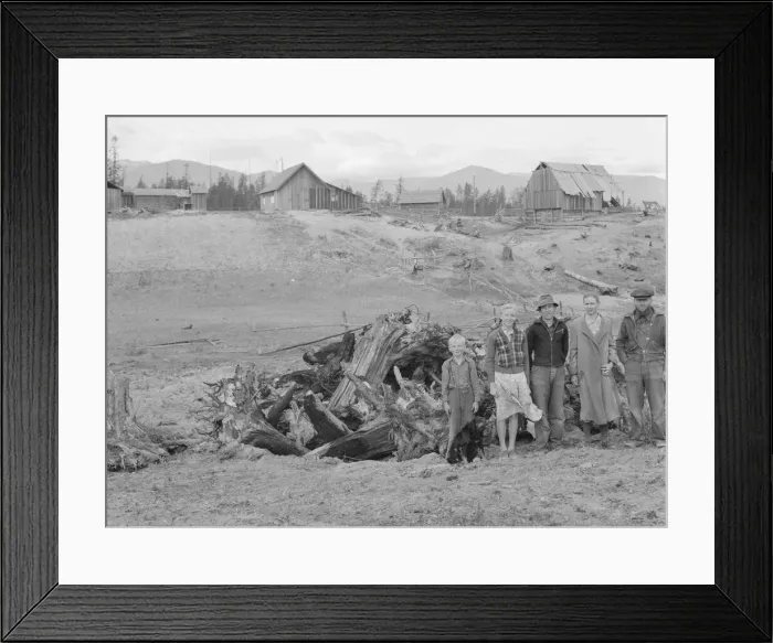 Framed Print : The Unruf family, stump pile, and their partly developed farm, Boundary County, Idaho, 1939. Creator: Dorothea Lange Framed Print : The Unruf family, stump pile, and their partly developed farm, Boundary County, Idaho, 1939. Creator: Dorothea Lange