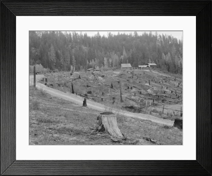 Framed Print : Possibly: New settlers shack at foot of hills on poor sandy soil, Boundary County, Idaho, 1939. Creator: Dorothea Lange