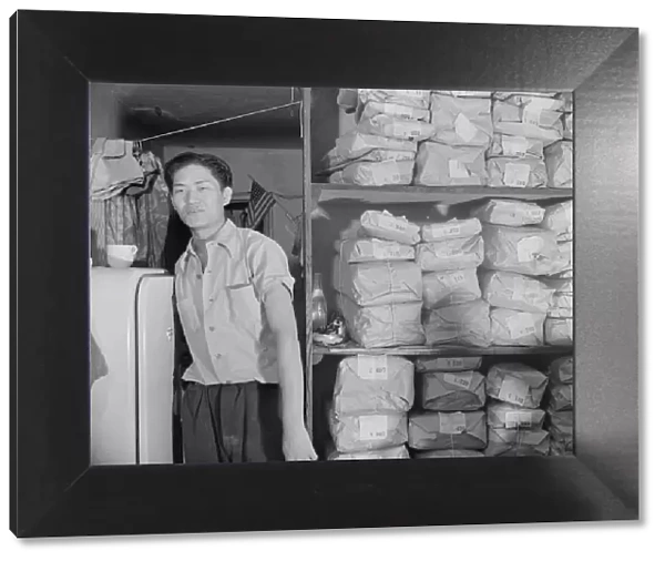 Johnnie Lew, owner of the laundry under the apartment of Mrs. Ella Watson... Washington, DC, 1942. Creator: Gordon Parks
