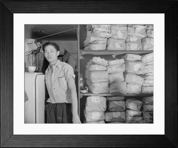 Framed Print : Johnnie Lew, owner of the laundry under the apartment of Mrs. Ella Watson... Washington, DC, 1942. Creator: Gordon Parks Framed Print : Johnnie Lew, owner of the laundry under the apartment of Mrs. Ella Watson... Washington, DC, 1942. Creator: Gordon Parks