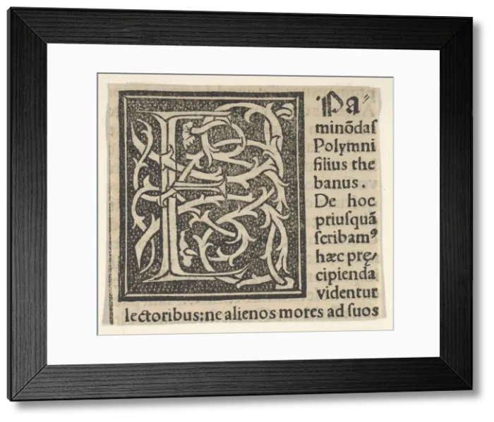 Framed Print : Initial letter E on patterned background, 1520. 1520. Creator: Anon Framed Print : Initial letter E on patterned background, 1520. 1520. Creator: Anon