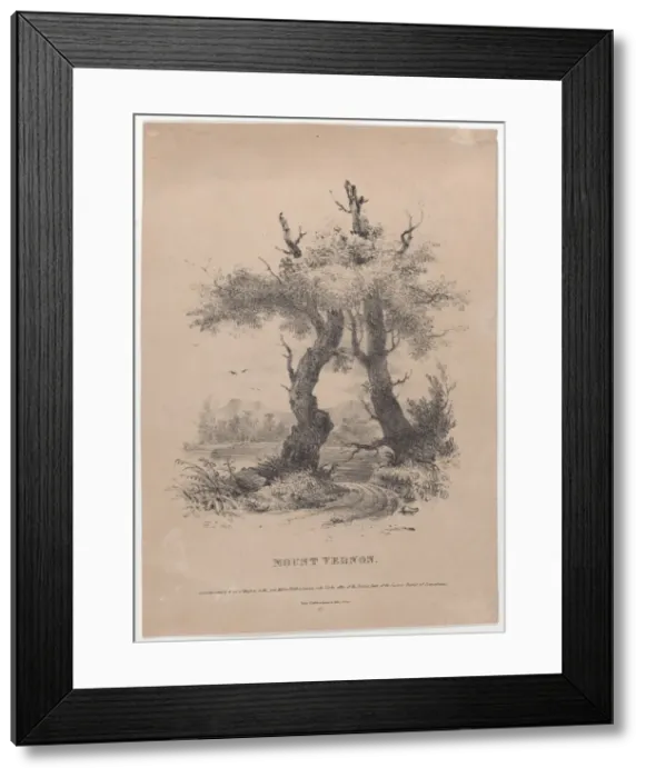 Framed Print : Mount Vernon with hidden silhouette of George Washington, 1832. Creator: Henry Inman Framed Print : Mount Vernon with hidden silhouette of George Washington, 1832. Creator: Henry Inman