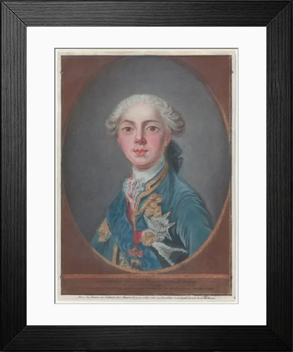 Framed Print : Louis-Stanislas-Xavier de France, Comte de Provence, 1771. Creator: Louis Marin Bonnet Framed Print : Louis-Stanislas-Xavier de France, Comte de Provence, 1771. Creator: Louis Marin Bonnet