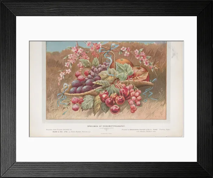 Framed Print : Trade Card for Hare & Co. Ltd, 1910. 1910. Creator: Anon Framed Print : Trade Card for Hare & Co. Ltd, 1910. 1910. Creator: Anon