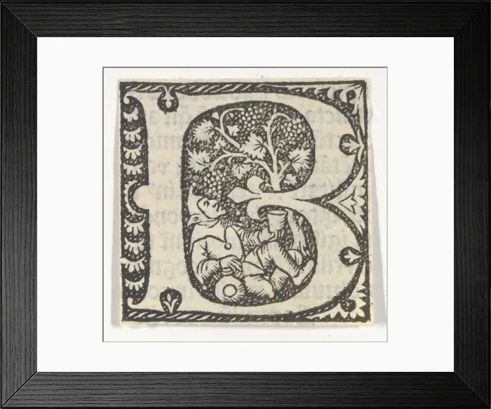 Framed Print : Decorated Roman alphabet, ca. 1499. ca. 1499. Creator: Anon Framed Print : Decorated Roman alphabet, ca. 1499. ca. 1499. Creator: Anon