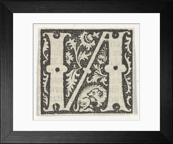 Framed Print : Decorated Roman alphabet, ca. 1499. ca. 1499. Creator: Anon Framed Print : Decorated Roman alphabet, ca. 1499. ca. 1499. Creator: Anon