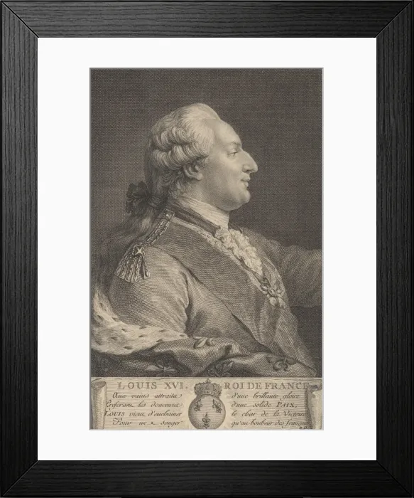 Framed Print : Louis XVI, King of France, 1783. 1783. Creator: Anon Framed Print : Louis XVI, King of France, 1783. 1783. Creator: Anon