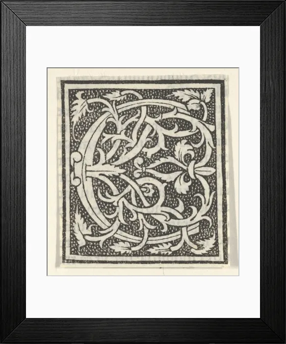 Framed Print : Initial letter C on patterned background, 1520. 1520. Creator: Anon Framed Print : Initial letter C on patterned background, 1520. 1520. Creator: Anon