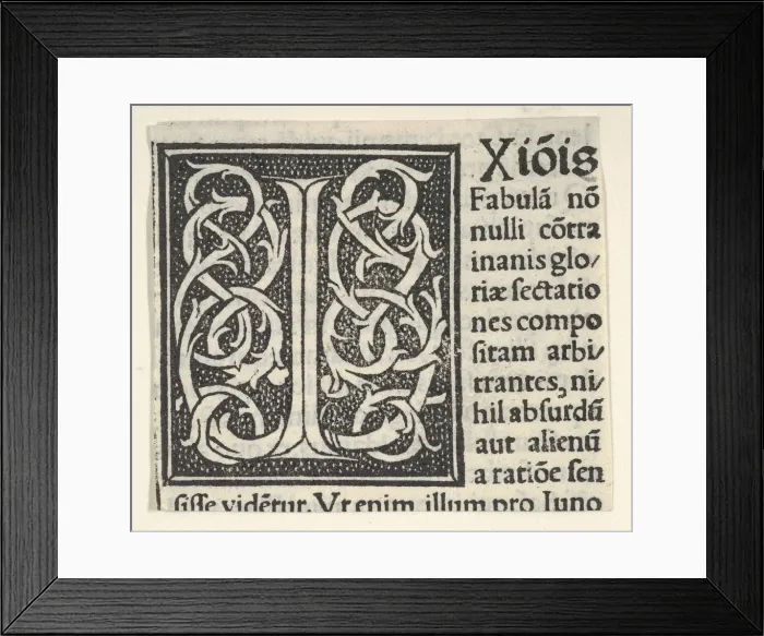 Framed Print : Initial letter I on patterned background, 1520. 1520. Creator: Anon Framed Print : Initial letter I on patterned background, 1520. 1520. Creator: Anon