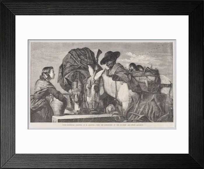 Framed Print : Asses Drinking, from Illustrated London News, March 13, 1858. Creator: Henry Duff Linton