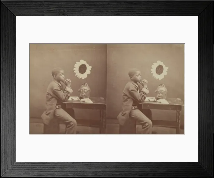 Framed Print : An Aesthetic Darkey from the Aiken and Vicinity'series, 1882. Creator: James A Palmer Framed Print : An Aesthetic Darkey from the Aiken and Vicinity'series, 1882. Creator: James A Palmer