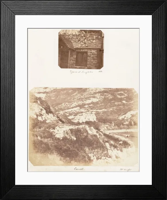 Framed Print : Pigeons at Singleton; Caswell, 1853-1856 Creator: James Knight Framed Print : Pigeons at Singleton; Caswell, 1853-1856 Creator: James Knight