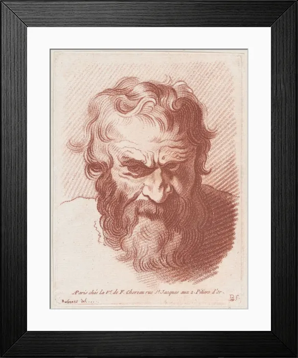 Framed Print : Head of a man with a beard, ca. 1755-93. Creator: Louis Marin Bonnet Framed Print : Head of a man with a beard, ca. 1755-93. Creator: Louis Marin Bonnet