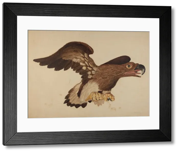 Framed Print : Carved Wooden Eagle, c. 1939. Creator: Robert Gilson Framed Print : Carved Wooden Eagle, c. 1939. Creator: Robert Gilson