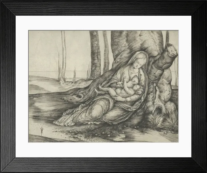 Framed Print : The Madonna nursing the Christ Child at the foot of a tree, ca. 1502-3. Creator: Jacopo de Barbari Framed Print : The Madonna nursing the Christ Child at the foot of a tree, ca. 1502-3. Creator: Jacopo de Barbari
