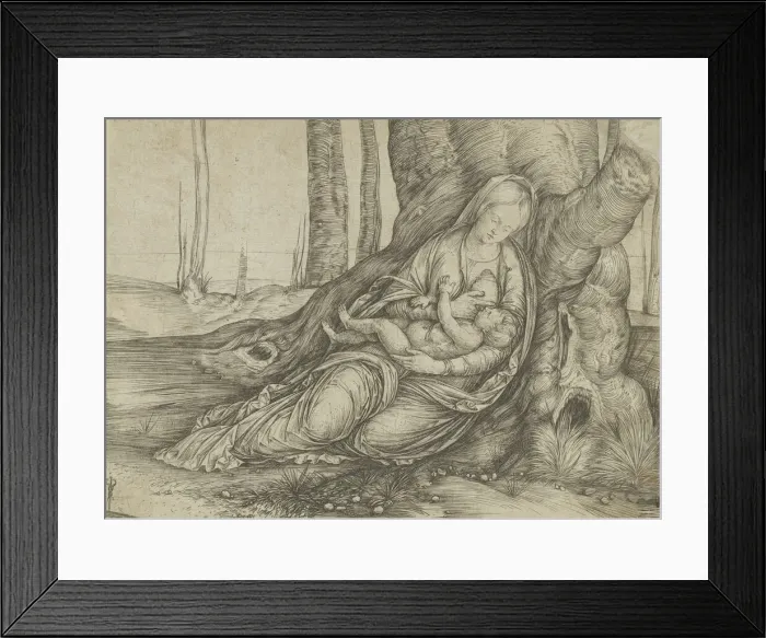 Framed Print : The Madonna nursing the Christ Child at the foot of a tree, ca. 1501-3. Creator: Jacopo de Barbari Framed Print : The Madonna nursing the Christ Child at the foot of a tree, ca. 1501-3. Creator: Jacopo de Barbari