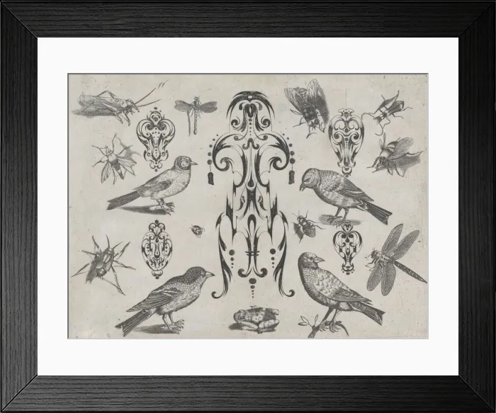 Framed Print : Blackwork Designs with Birds and Insects, Plate 2 from a Series of Blackwork Ornamen... after 1622. Creator: Meinert Gelijs Framed Print : Blackwork Designs with Birds and Insects, Plate 2 from a Series of Blackwork Ornamen... after 1622. Creator: Meinert Gelijs