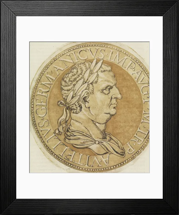 Framed Print : Vivae Omnium Ferre Imperatorum Imagines... 1557 Creator: Hubert Goltzius Framed Print : Vivae Omnium Ferre Imperatorum Imagines... 1557 Creator: Hubert Goltzius