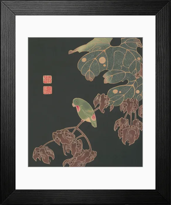 Framed Print : The Paroquet, ca. 1900. Creator: Ito Jakuchu Framed Print : The Paroquet, ca. 1900. Creator: Ito Jakuchu