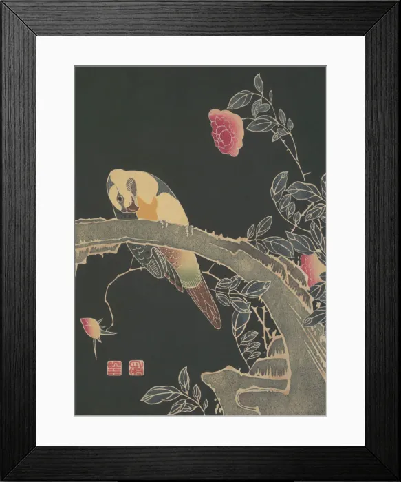 Framed Print : Parrot on the Branch of a Flowering Rose Bush, ca. 1900. Creator: Ito Jakuchu Framed Print : Parrot on the Branch of a Flowering Rose Bush, ca. 1900. Creator: Ito Jakuchu