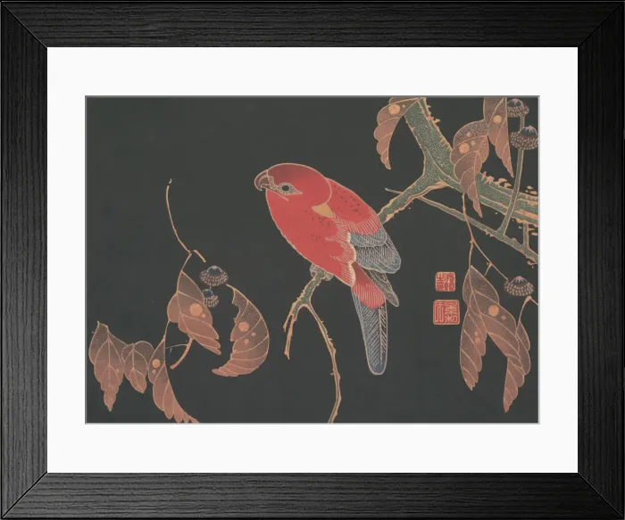 Framed Print : Red Parrot on the Branch of a Tree, ca. 1900. Creator: Ito Jakuchu Framed Print : Red Parrot on the Branch of a Tree, ca. 1900. Creator: Ito Jakuchu