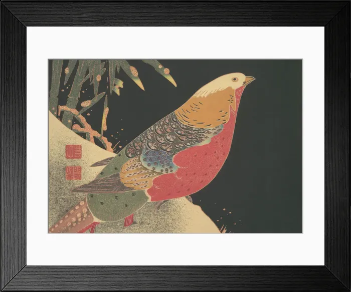 Framed Print : Golden Pheasant in the Snow, ca. 1900. Creator: Ito Jakuchu Framed Print : Golden Pheasant in the Snow, ca. 1900. Creator: Ito Jakuchu