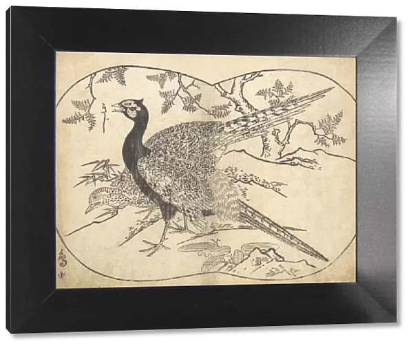 Pheasants. Creator: Hishikawa Moronobu