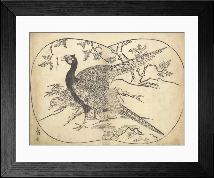 Framed Print : Pheasants. Creator: Hishikawa Moronobu Framed Print : Pheasants. Creator: Hishikawa Moronobu