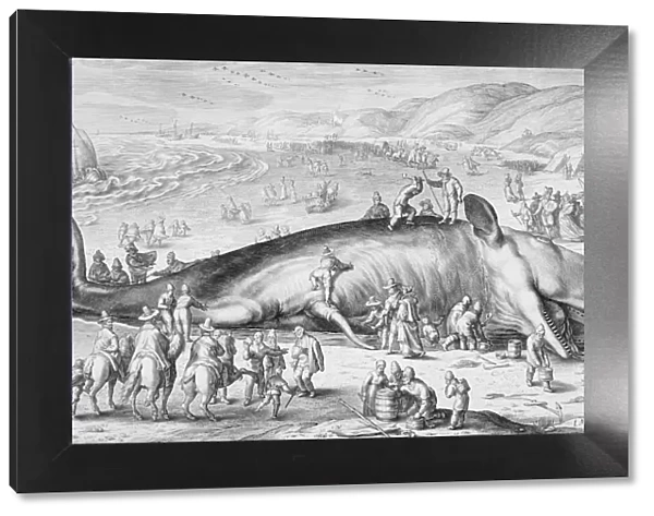 Beached Whale, 1598. Creator: Jacob Matham