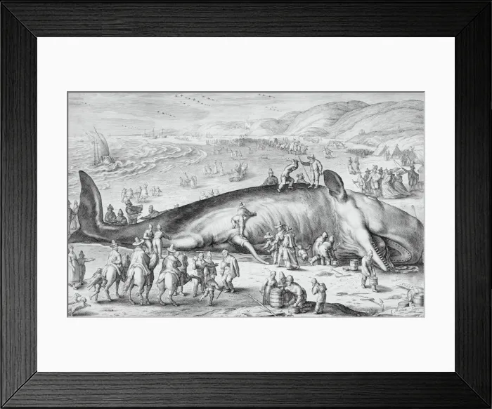 Framed Print : Beached Whale, 1598. Creator: Jacob Matham Framed Print : Beached Whale, 1598. Creator: Jacob Matham