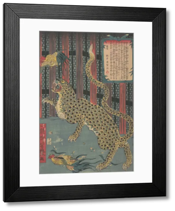 Framed Print : Tiger in a Cage, 7th month, 1860. Creator: Ichiryusai Yoshitoyo Framed Print : Tiger in a Cage, 7th month, 1860. Creator: Ichiryusai Yoshitoyo