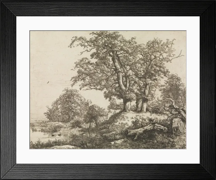 Framed Print : The Three Oaks, mid-17th century. Creator: Jacob van Ruisdael Framed Print : The Three Oaks, mid-17th century. Creator: Jacob van Ruisdael