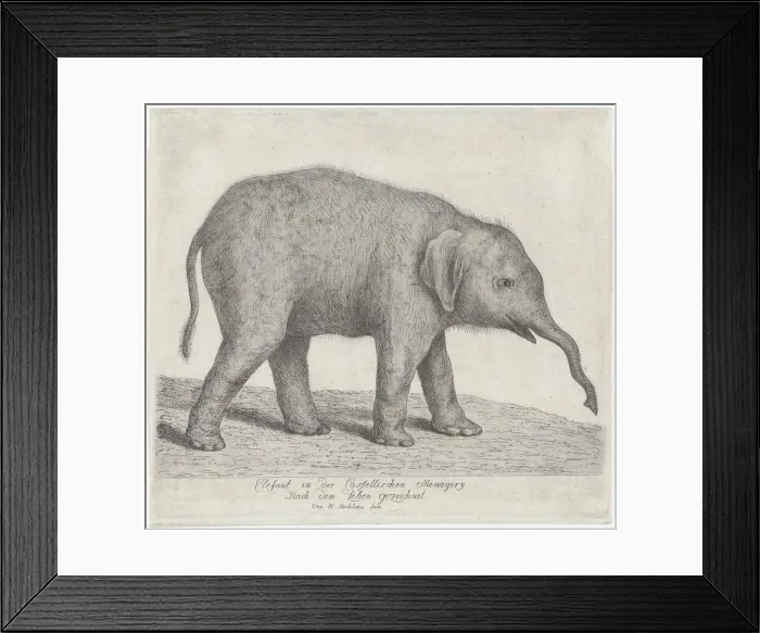 Framed Print : A Young Elephant. n. d. Creator: Johann Heinrich Wilhelm Tischbein Framed Print : A Young Elephant. n. d. Creator: Johann Heinrich Wilhelm Tischbein