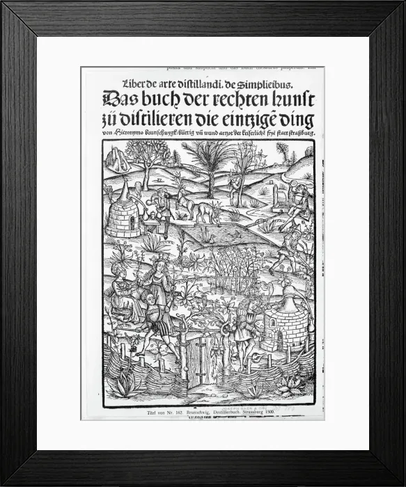 Framed Print : Medicinarius. Das buch der Gesundheit. Liber de arte distillandi Simplicia et Composita, 1505. Creator: Johann Gruninger Framed Print : Medicinarius. Das buch der Gesundheit. Liber de arte distillandi Simplicia et Composita, 1505. Creator: Johann Gruninger