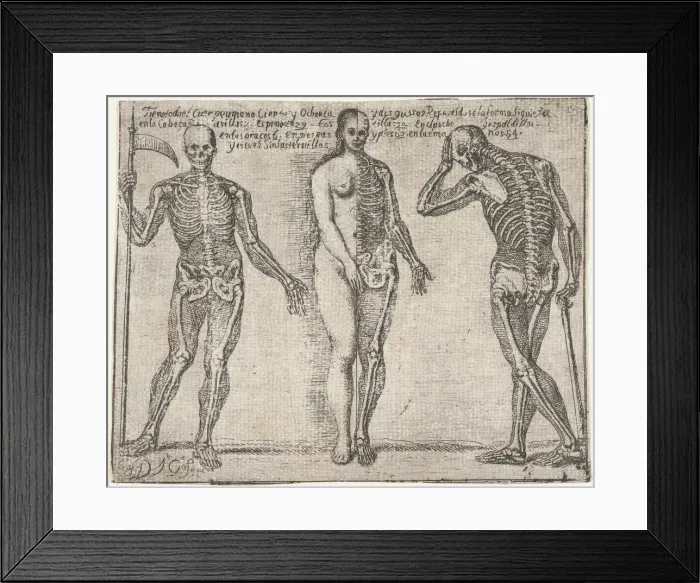 Framed Print : Studies of three skeleton, from the Principios para estudiar el Nobilisimo y Real art... ca. 1693. Creator: JoseGarcia Hidalgo Framed Print : Studies of three skeleton, from the Principios para estudiar el Nobilisimo y Real art... ca. 1693. Creator: JoseGarcia Hidalgo