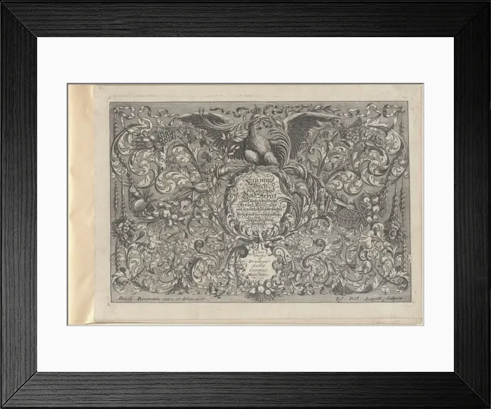 Framed Print : Ein neues Buch von allerhand Gold-Arbeit, auff unterschiedliche Art und Manier sehr wol u... 1716. Creator: Joseph Friedrich Leopold Framed Print : Ein neues Buch von allerhand Gold-Arbeit, auff unterschiedliche Art und Manier sehr wol u... 1716. Creator: Joseph Friedrich Leopold