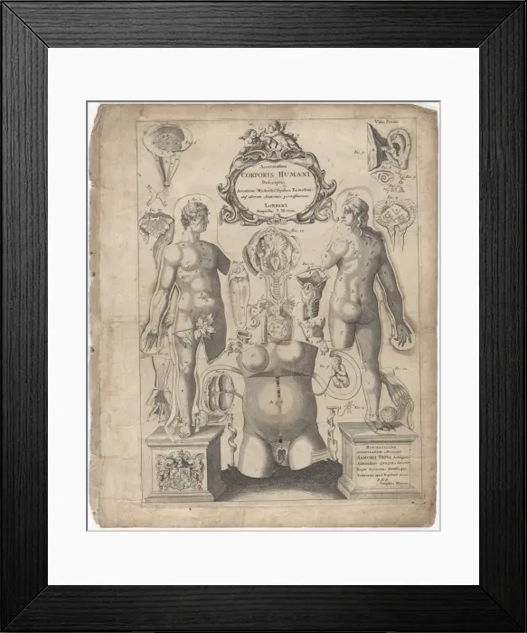 Framed Print : A Survey of the Microcosme or the Anatomie of the Bodies of Man and Woman wherein the Skin... 1675. Creator: Johann Remmelin Framed Print : A Survey of the Microcosme or the Anatomie of the Bodies of Man and Woman wherein the Skin... 1675. Creator: Johann Remmelin