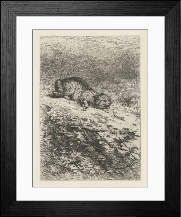 Framed Print : Wild Cat, ca. 1860. Creator: Karl Bodmer Framed Print : Wild Cat, ca. 1860. Creator: Karl Bodmer