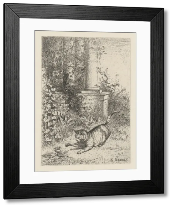 Framed Print : A Domestic Cat Playing with a Garter Snake, ca. 1860. Creator: Karl Bodmer Framed Print : A Domestic Cat Playing with a Garter Snake, ca. 1860. Creator: Karl Bodmer