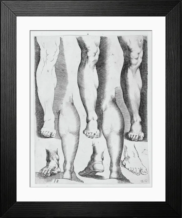 Framed Print : Five Legs and Three Feet, 17th century. 17th century. Creator: Luca Ciamberlano Framed Print : Five Legs and Three Feet, 17th century. 17th century. Creator: Luca Ciamberlano